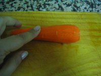 Una zanahoria