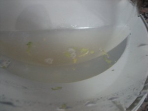centrifugadora de verduras